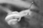 schau mir ins Auge