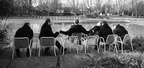 IMG 2013-03-10 8460-8466
