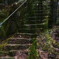 Treppe zum Waldschloß00.jpg