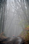 Pfalzwanderung 2