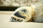 Im Karlsruher Zoo