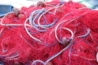 fischernetz