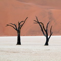 Namibia2.jpg