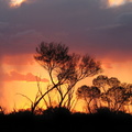 Sonnenuntergang im Outback, Australien