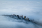 Nebel auf dem Mahlberg
