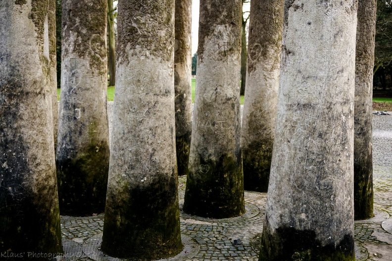 säulen (1 von 1).JPG