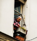 Blumenpflege am Montmartre