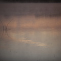 Morgenlicht am Fermasee