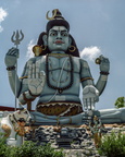 "Shiva"