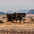 Namibia (11).jpg