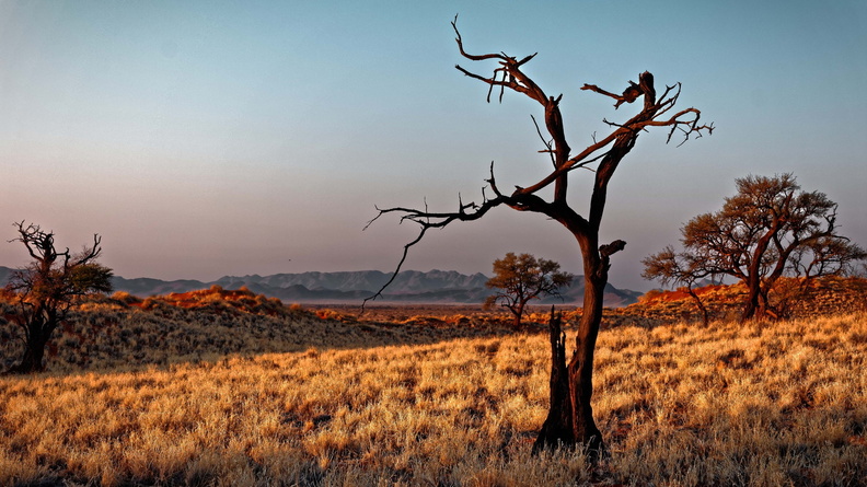 Namibia (8).jpg