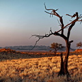 Namibia (8).jpg