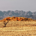 Namibia (7).jpg