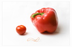 Die Tomate und Herr Paprika