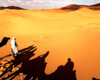Die Sahara