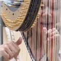 ... Sommerfest mit Harfe u.Gesang.jpg