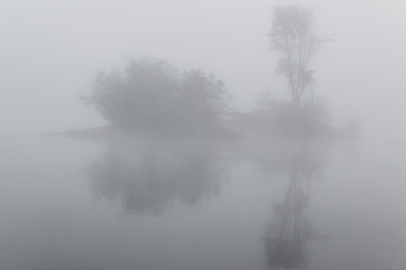 Nebel1.jpg