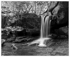 "Kbal Spean Waterfall #1"