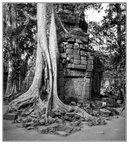 Angkor Thom #2