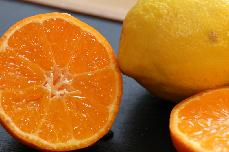 citrus limon.jpg