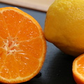 citrus limon.jpg