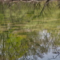 Fermasee im April (6).jpg