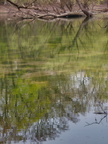 Fermasee im April (6)