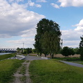 am Rhein 2