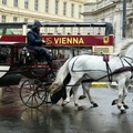 Mit 2 PS durch Wien