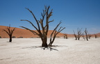  Namibia...... Deadvlei 