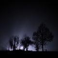 Die Nacht & Nebel Aktion - 1