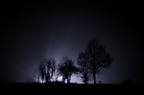 Die Nacht & Nebel Aktion - 1