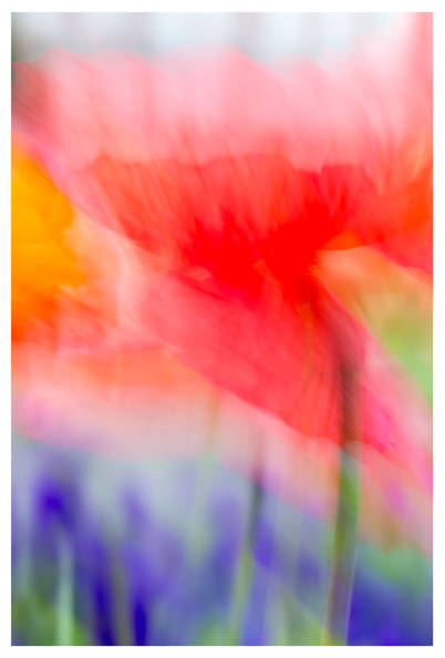 Flowers I.png