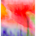 Flowers I.png