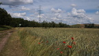 die Ruhe nach dem Sturm