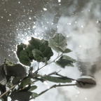 Wasserglitter