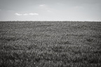 Kornfeld-SW-Luminar-dramatic-Look-Film-Noir-DSC04883