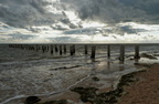 Föhr