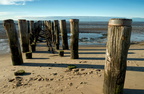 Föhr
