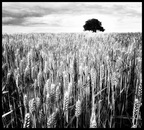Herbstimpression