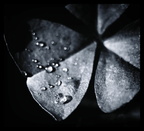 Herbstimpression