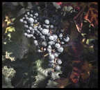 Herbstimpressionen