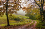 Herbstspaziergang im Odenwald