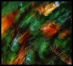 ICM Fotografie in der Ungeheuerklamm
