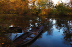 herbstliche Farbtöne 2
