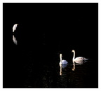..in den Morgenstunden am Knielinger See