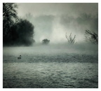 ..in den Morgenstunden am Knielinger See