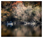 ..in den Morgenstunden am Knielinger See