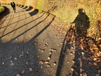 Herbstrennen