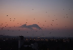 Kraftwerke nach Sonnenuntergang